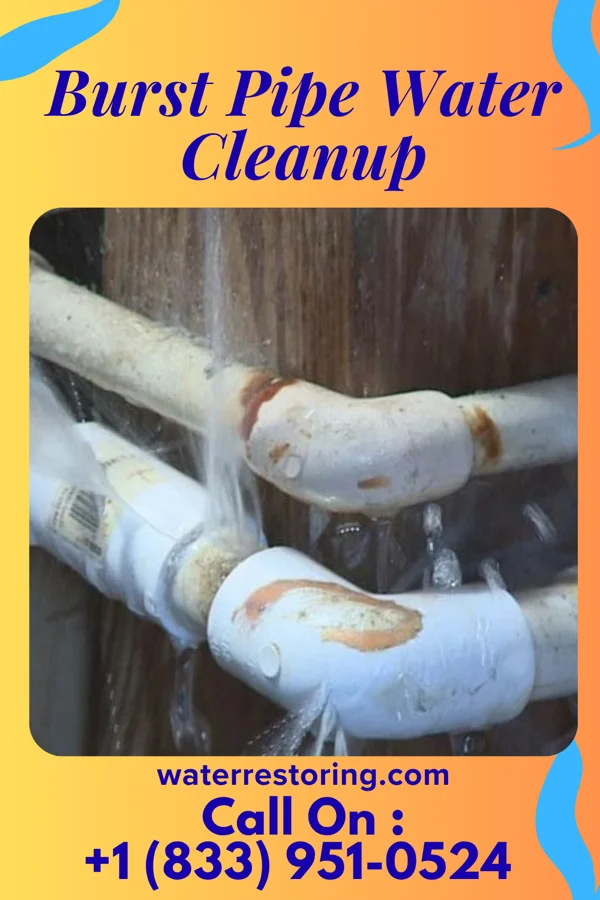 Burst Pipe Water Cleanup in Rose Valley, PA