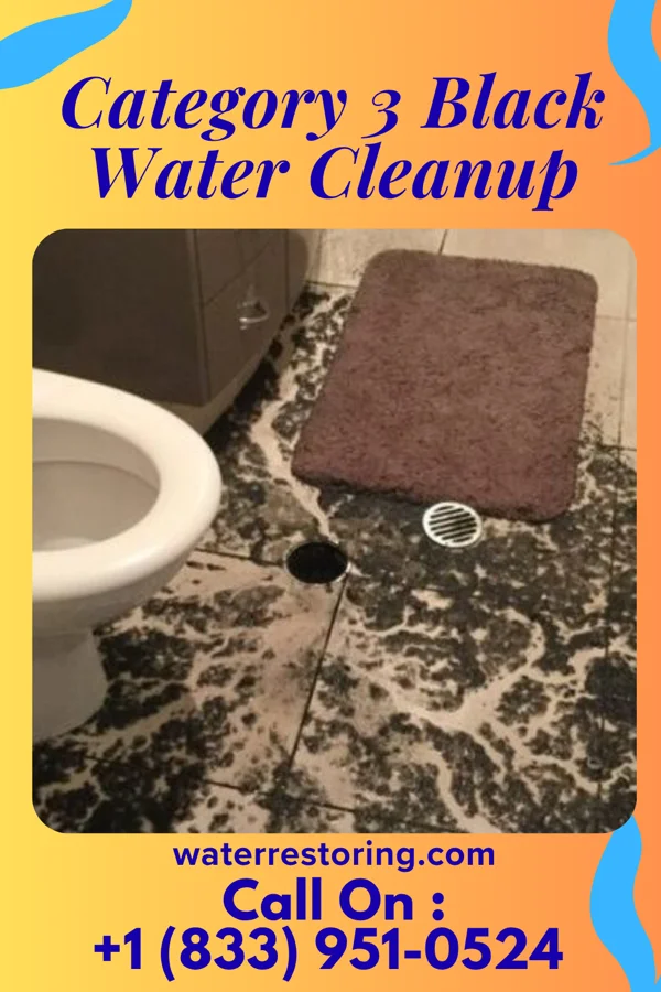 Category 3 Black Water Cleanup in Rose Valley, PA