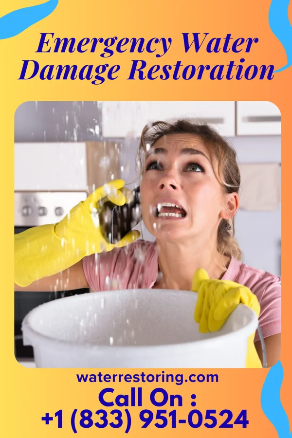 Emergency Water Damage Restoration in Rose Valley, PA